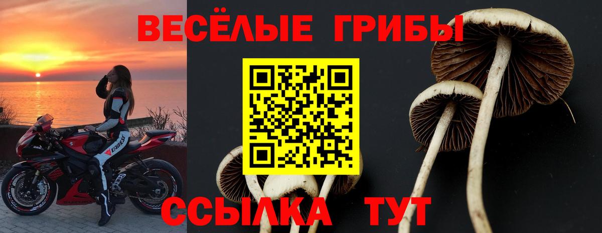 Галлюциногенные грибы MAGIC MUSHROOMS Нововоронеж