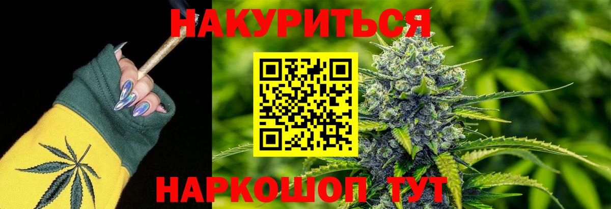 Канабис сатива Нововоронеж